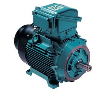 W Series Exd(e) – Motors